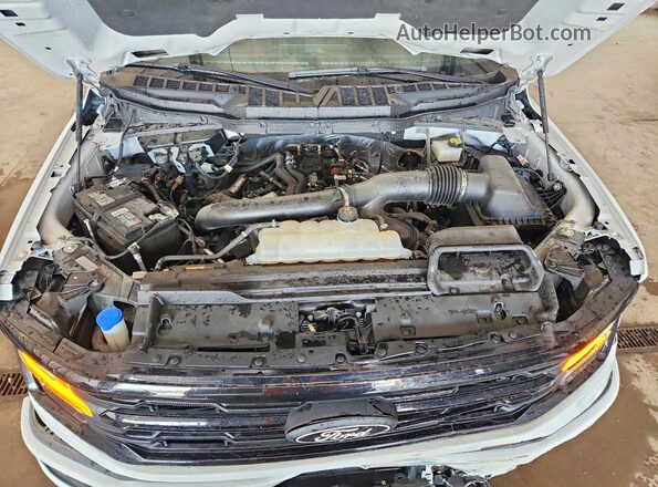 1FTFW3L89RFA39403 2024 FORD F150 White Սալոնի հետևի տեսք