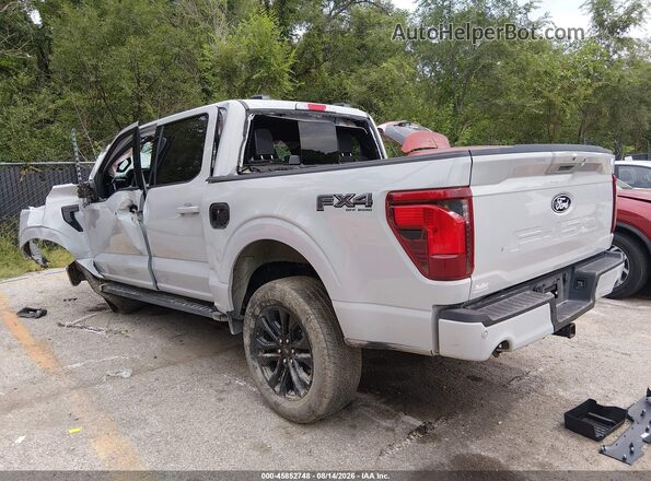 1FTFW3L8XRFC02253 2024 FORD F150 Gray უკანა მარცხენა