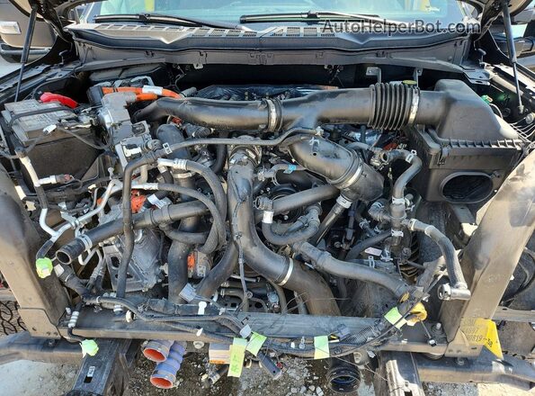 1FTFW3LD0SFA10195 2025 FORD F150 Black უკანა სალონის ხედი