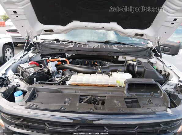 1FTFW3LD1RFA84851 2024 FORD F150 Gray Widok z tyłu