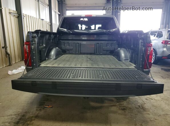 1FTFW3LD1RFA95459 2024 FORD F150 Gray Rear view