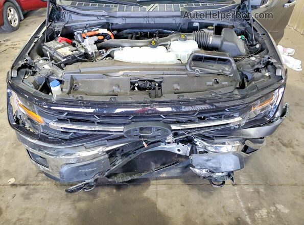 1FTFW3LD1RFA95459 2024 FORD F150 Gray Rear interior view