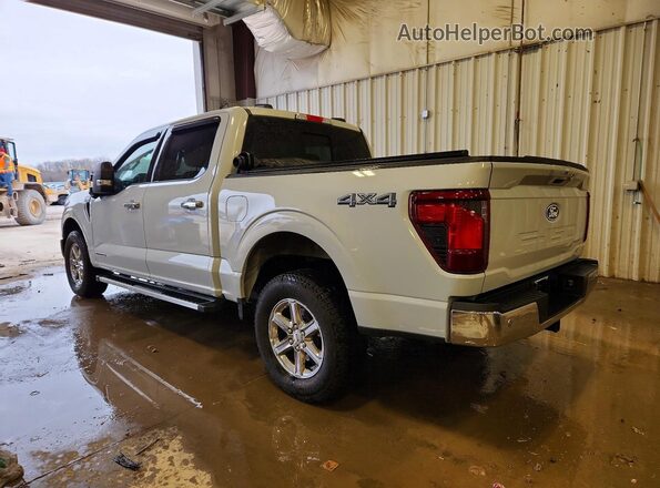 1FTFW3LD2SFA07525 2025 FORD F150 Gray Հետևի ձախ