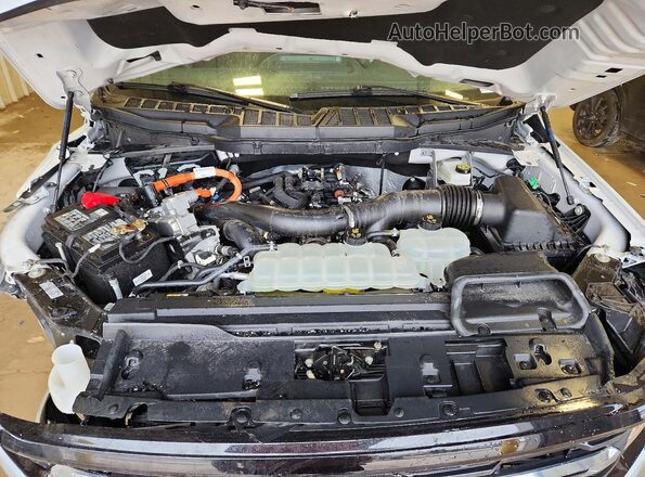 1FTFW3LD2SFA07525 2025 FORD F150 Gray Սալոնի հետևի տեսք