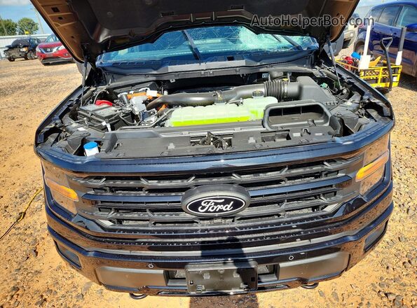 1FTFW3LD2SFC34679 2025 FORD F150 Black Вид задньої частини салону