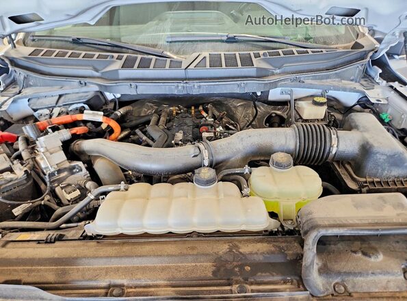 1FTFW3LD3RFA10265 2024 FORD F150 Silver Սալոնի հետևի տեսք