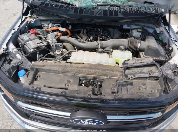 1FTFW3LD3RFA72782 2024 FORD F150 Silver Вид ззаду