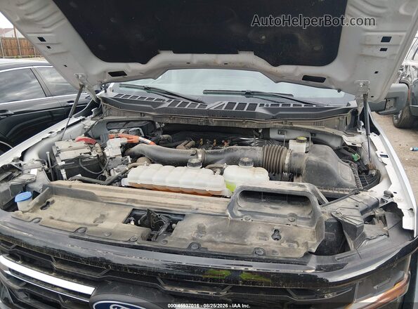 1FTFW3LD3RFA81563 2024 FORD F150 Gray Widok z tyłu