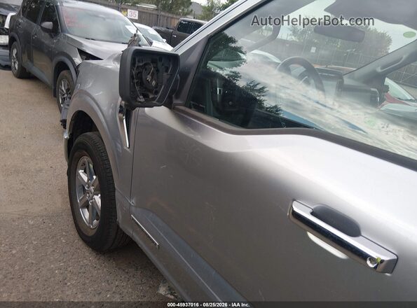 1FTFW3LD3RFA81563 2024 FORD F150 Gray Widok z przodu
