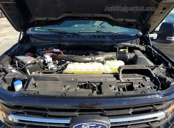 1FTFW3LD3SFA07288 2025 FORD F150 Black Widok wnętrza z tyłu