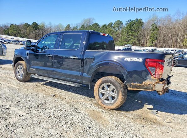 1FTFW3LD3SFA07288 2025 FORD F150 Black Tył lewy