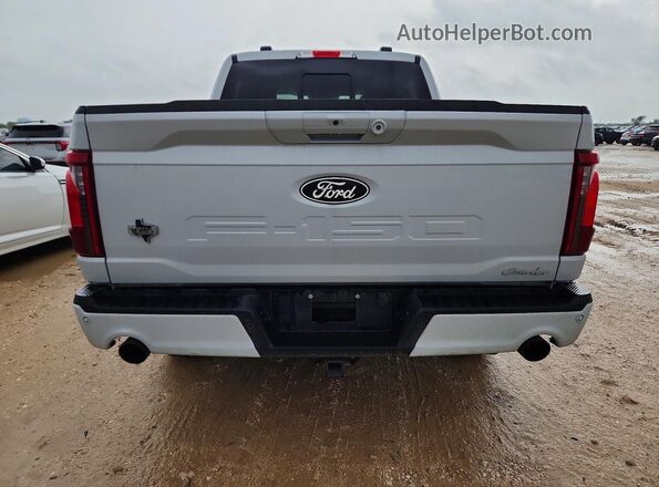 1FTFW3LD3SFB62942 2025 FORD F150 Gray Widok z tyłu