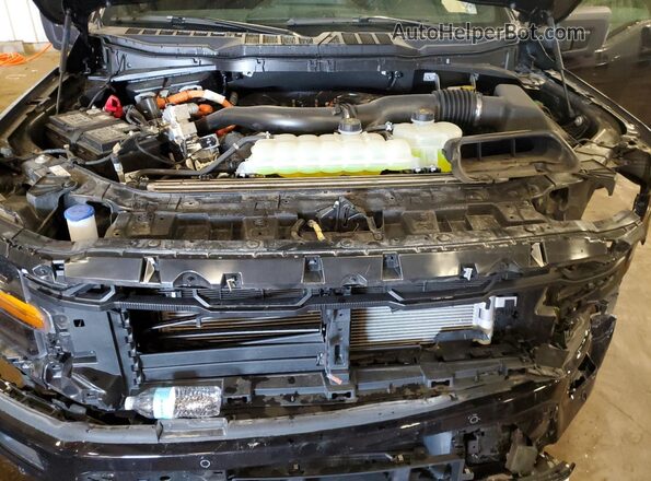 1FTFW3LD5SFA36727 2025 FORD F150 Black 
