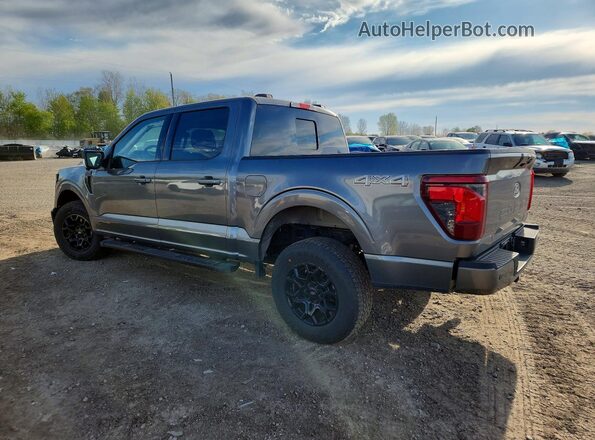 1FTFW3LD5SFB66359 2025 FORD F150 Серый Задняя левая четверть