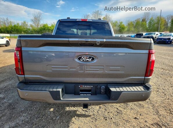 1FTFW3LD5SFB66359 2025 FORD F150 Серый Вид сзади