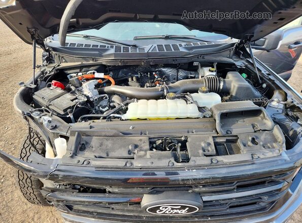 1FTFW3LD5SFB66359 2025 FORD F150 Серый Вид задней части салона