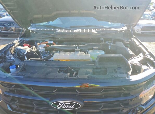 1FTFW3LD7SFA18536 2025 FORD F150 Черный Вид задней части салона