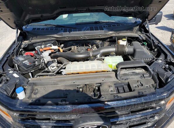 1FTFW3LDXRFA50097 2024 FORD F150 Blue Սալոնի հետևի տեսք