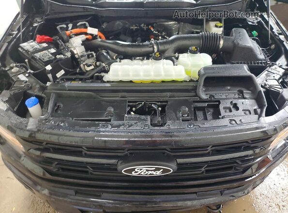 1FTFW3LDXSFA34391 2025 FORD F150 Black Vista interior trasera