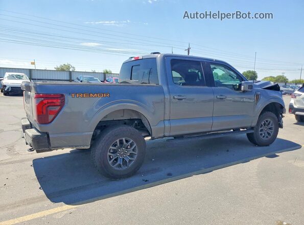 1FTFW4L58SFA60079 2025 FORD F150 Gray Հետևի աջ