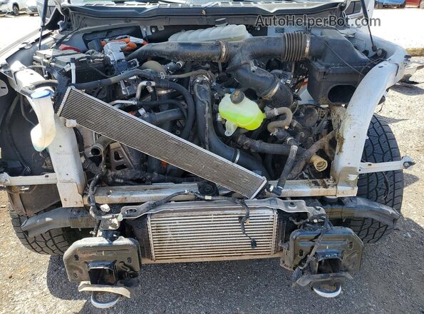1FTFW5LD3RFC00403 2024 FORD F150 Белый Вид задней части салона