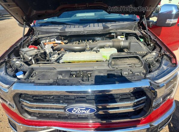1FTFW5LD4SFA71741 2025 FORD F150 Красный Вид задней части салона
