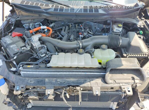 1FTFW5LD7RFB42926 2024 FORD F150 Black Vista interior trasera