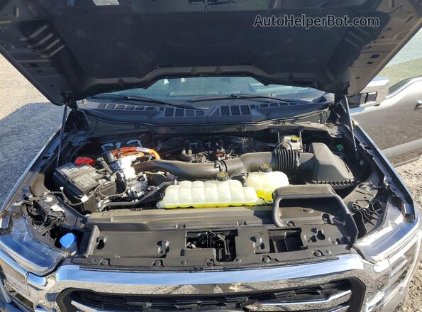 1FTFW5LD8SFC00578 2025 FORD F150 Gray Սալոնի հետևի տեսք