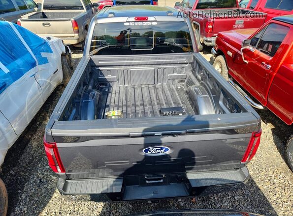 1FTFW5LD8SFC00578 2025 FORD F150 Gray Հետևի տեսք