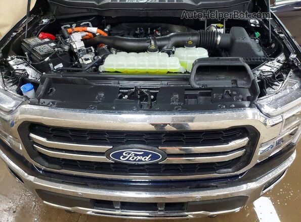 1FTFW5LD9TFA34105 2026 FORD F150 Синий Вид задней части салона