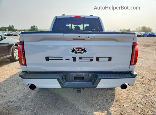 1FTFW5LDXRFB75712 2024 FORD F150 Gray Widok z tyłu