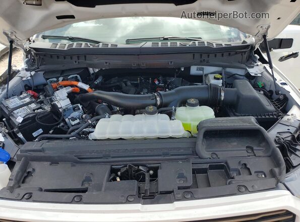 1FTFW6LD2SFB74873 2025 FORD F150 White Widok wnętrza z tyłu