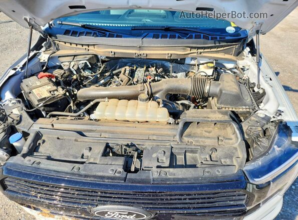 1FTFW7L88RFA77390 2024 FORD F150 Серый Вид задней части салона