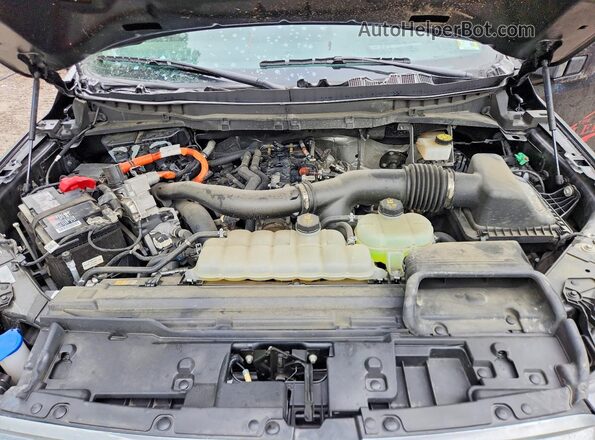 1FTFW7LD9RFB72974 2024 FORD F150 Black Вид задньої частини салону
