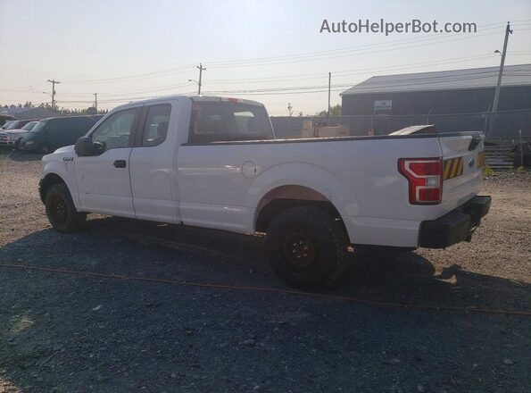 1FTFX1C59KKE25713 2019 FORD F150 White უკანა მარცხენა