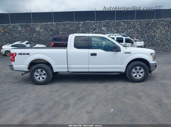 1FTFX1E40LKD83597 2020 FORD F150 White უკანა სალონის ხედი