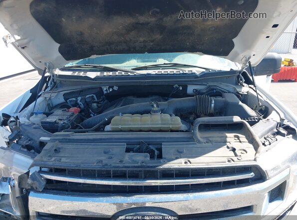 1FTFX1E44LKF47661 2020 FORD F150 Белый Вид сзади
