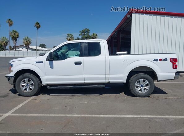 1FTFX1E44LKF47661 2020 FORD F150 Белый Панорамный вид салона 360°