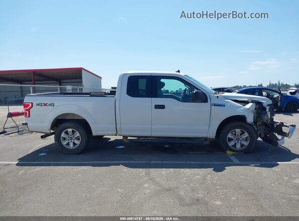 1FTFX1E44LKF47661 2020 FORD F150 Белый Вид задней части салона