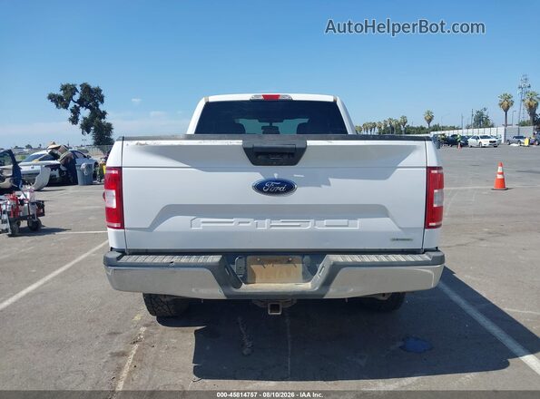 1FTFX1E44LKF47661 2020 FORD F150 Белый 