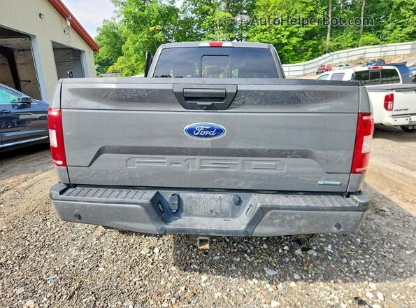 1FTFX1E46LFC27198 2020 FORD F150 Серый Вид сзади