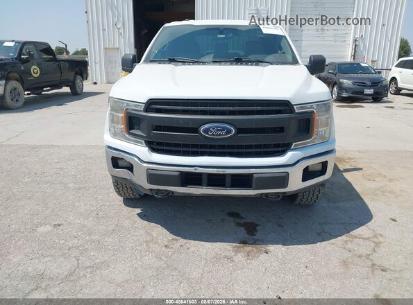 1FTFX1E4XKKD17413 2019 FORD F150 White Դիմացի տեսք