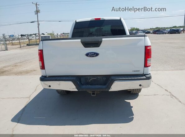 1FTFX1E4XKKD17413 2019 FORD F150 White 