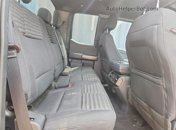 1FTFX1E51PKD45505 2023 FORD F150 Blue Հետևի նստատեղերի տեսք