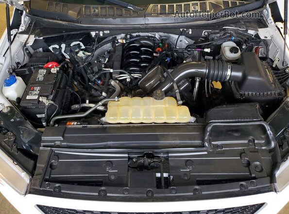 1FTFX1E53LFB29934 2020 FORD F150 White Вид задньої частини салону