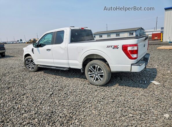 1FTFX1E54PKE95950 2023 FORD F150 Белый Задняя левая четверть