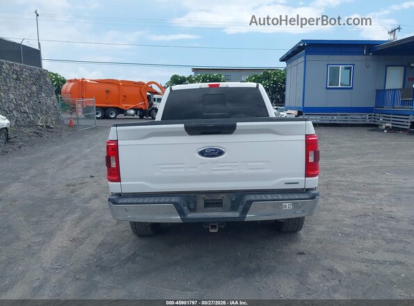 1FTFX1E8XMKE08266 2021 FORD F150 White 