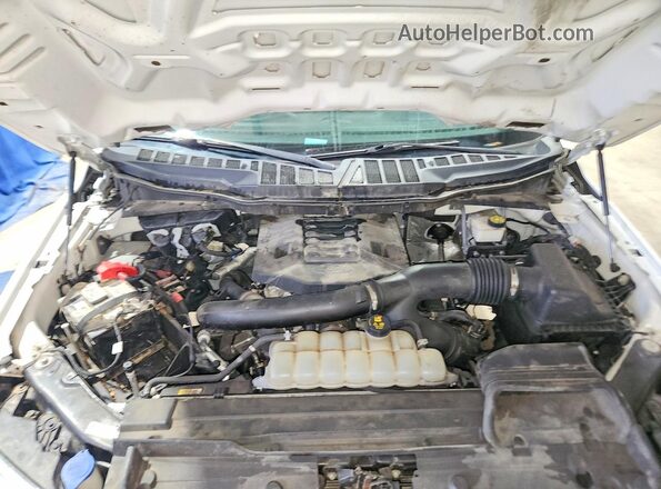 1FTFX1E8XMKE24905 2021 FORD F150 Белый Вид задней части салона