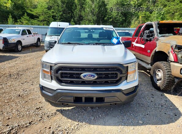 1FTFX1E8XMKE24905 2021 FORD F150 Белый Вид спереди