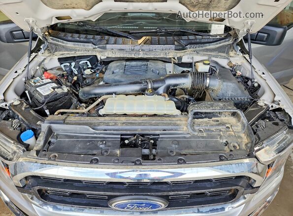1FTFX1E8XPKE52711 2023 FORD F150 Серебряный Вид задней части салона